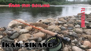 Mencari secebis strike Ikan Sikang || Fly Fishing