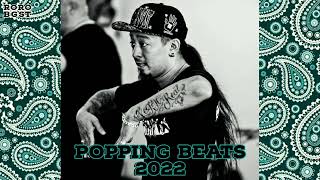 RoRoBgst - Steez of Cobra Popping Music 2022