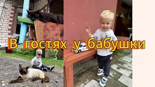 Оживленная белорусская деревня. Belarusian village