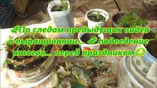 🌿По следам предыдущих видео о выращивании... 🌿 подведение итогов... перед праздником😊