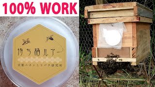 Asia honeybees attracted capture substance Made in Japan