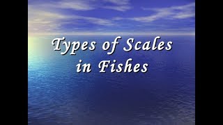 Scales of Fishes