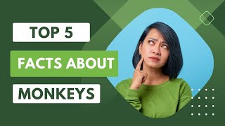 Top 5 facts about monkeys you may not know