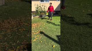 Cleaning Time, Fall Time #shortvideo