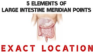 5 Elements of Large Intestine Meridian | Exact Location