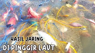 HASIL JARING IKAN DI LAUT|FISHING NET