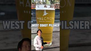 My Favorite Seattle Beer of 2023 • West Coast Pilsner • Halcyon Brewing • Seattle Beer