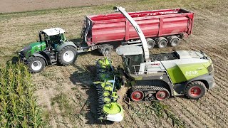 CLAAS JAGUAR 990TT am Mais häckseln mit vielen unterschiedlichen Abfahrer / DEHR AGRARSERVICE / 4K