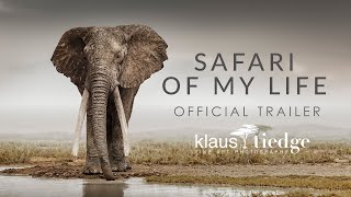 Safari of my Life -  Short Trailer - African Wildlife Photography Documentary Film - WATCH FILM NOW