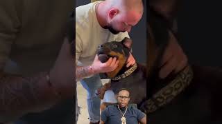 This dog’s reaction going to a chiropractor is hilarious 😂