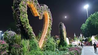 Hermosa Luna Ilumina Corazones ,Miracle Garden Dubai