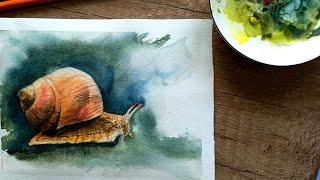 Как нарисовать улитку - Рисуем улитку акварелью. Watercolour painting for beginners.