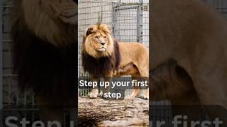 step up#supermotivation #motivation #lionmentality #subscribe #music #shorts