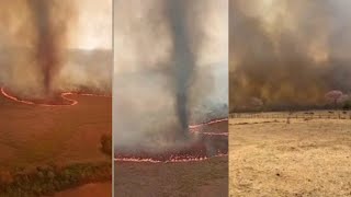 Redemoinho gigante de fogo é registrado no Pantanal