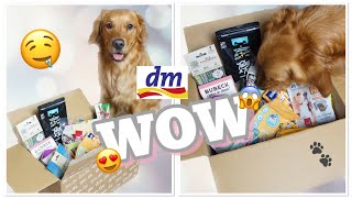 HOT oder SCHROTT😱 - Was hat DM für Hunde zu bieten🤔?