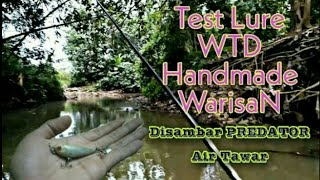 Casting Menggunakan Lure WTD Handmade Di Sambar Predator Air Tawar Reel Sampai Menjerit