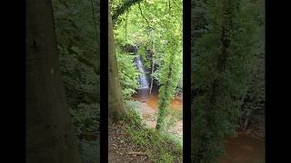 A magical discovery in Yorkshire #yorkshire #waterfall #discovery