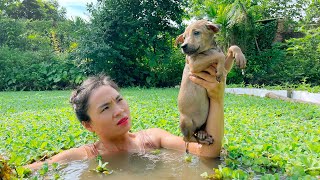 The Process of Making Mixed Vermicelli - Rescue Dogs from Drowning - Farm Care | New Life