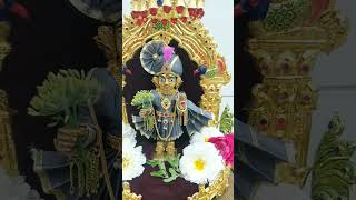 Thakorji darshan(ઠાકોરજી દર્શન) || SGVP mahila mandal(SGVP મહિલા મંડળ) || 6 feb 2023