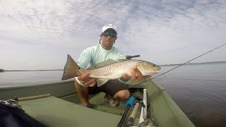 South West Florida Redfish and Snook