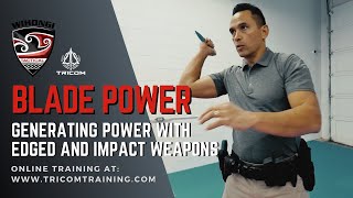 Blade Power: On the Universal Principles of Generating Power with Edged and Impact Weapons