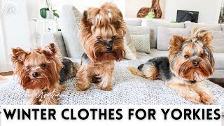 Winter Clothes For Yorkies