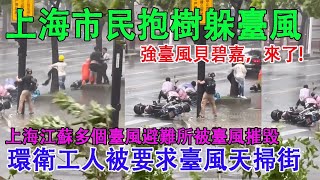 颱風“貝碧嘉”進攻大上海，市民馬路上抱樹求生。江蘇上海多處颱風避難所被台風摧毀。上海環衛工人被要求台風中打掃街道衛生。