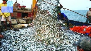 Catch Hundreds Tons Fish With Big Nets On The Sea || Catching Super Giant Ocean Tuna