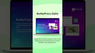 BuddyPress Giphy Animated GIF Support - Wbcom Designs