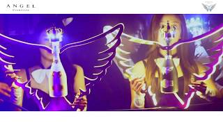 [HOT Trendy K-Party ] ANGEL Premium champagne launching party @ Club AVENUE535 , seoul, korea