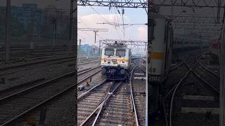 Wap7 Chasing Wap7 Like Tiger #shorts