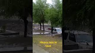 Heavy rain in taus #ghizer #birdsinging