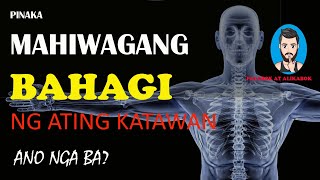 FACT 06:  Makapangyarihang bahagi ng katawan ng tao | Powerful part of our body | Patnubay TV