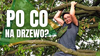 Sprzątanie nad jeziorem, pierwsza krew i geocaching 🌳 Dobre 15 minut dla lasu! [leśny vlog]