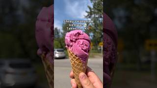 Shirley’s Homemade Ice Cream: 8.1/10 & $9 🍦#shirleystalkeetna #talkeetnaalaska #talkeetna