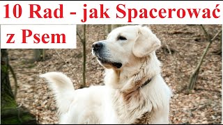 10 zasad  - Jak Spacerować z Psem