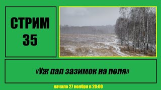 Стрим #35 "Уж пал зазимок на поля"