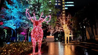 福岡 天神 クリスマスイルミネーション 2023年【4K HDR】