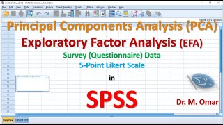 How to do Principal Components Analysis PCA and Exploratory Factor Analysis EFA in SPSS