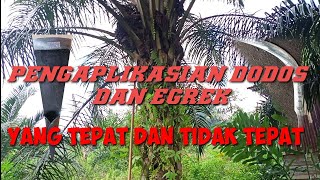 Dodos vs egrek sabit || adu skil 2 alat panen sawit