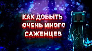 Как добыть много саженцев? | Эксперимент |