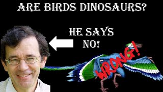 Are birds dinosaurs? Part 4/9: Creationists and bird evolution