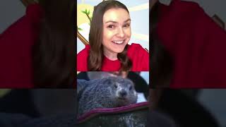 Groundhog Day Science | Bansho Kids