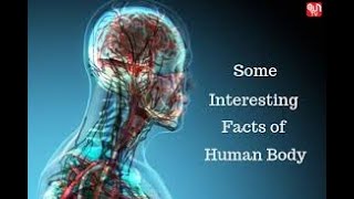 important human body MCQS Challenge Amazing World Inside you Human Biology Revealed human body quiz