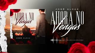 ahora no vengas - Jose Aldaz