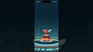 Evolving Shiny Combee Into Shiny Vespiquen In Pokémon Go