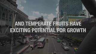 South- East Asia grows appetite for temperate fruit imports