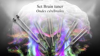 Diapasons Brain tuner Ondes cérébrales