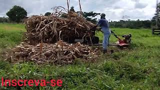 Preparação para o cultivo de milho