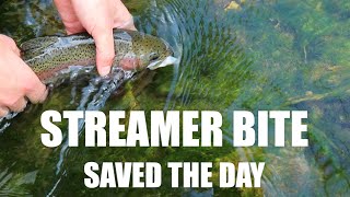 DIY WADING SOCKS ARE CLUTCH & NEVER LEAVE FISH TO FIND FISH | FLY FISHING DRIFTLESS REGION IOWA